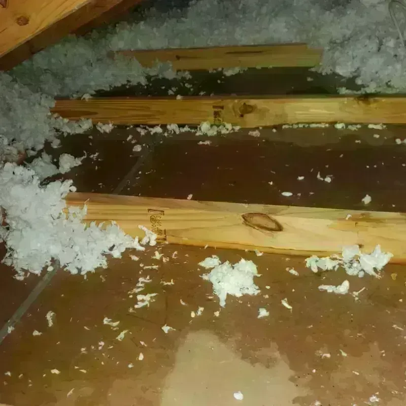 Attic Water Damage in Newton, NH